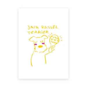 Jack Rassel Terrier